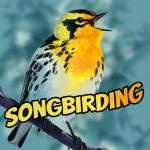 Songbirding