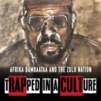 Trapped In A Culture - Leila Wills