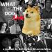 What The Dog Saw - An American Crime Story Podcast
