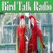 Bird Talk Radio