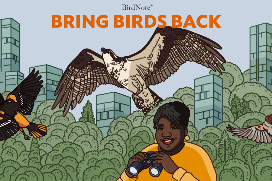 Bring Birds Back